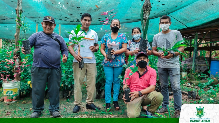 MUNICIPALIDAD DE PADRE ABAD DONA PLANTONES ORNAMENTALES Y FRUTALES A LA IPRESS AGUAYTÍA