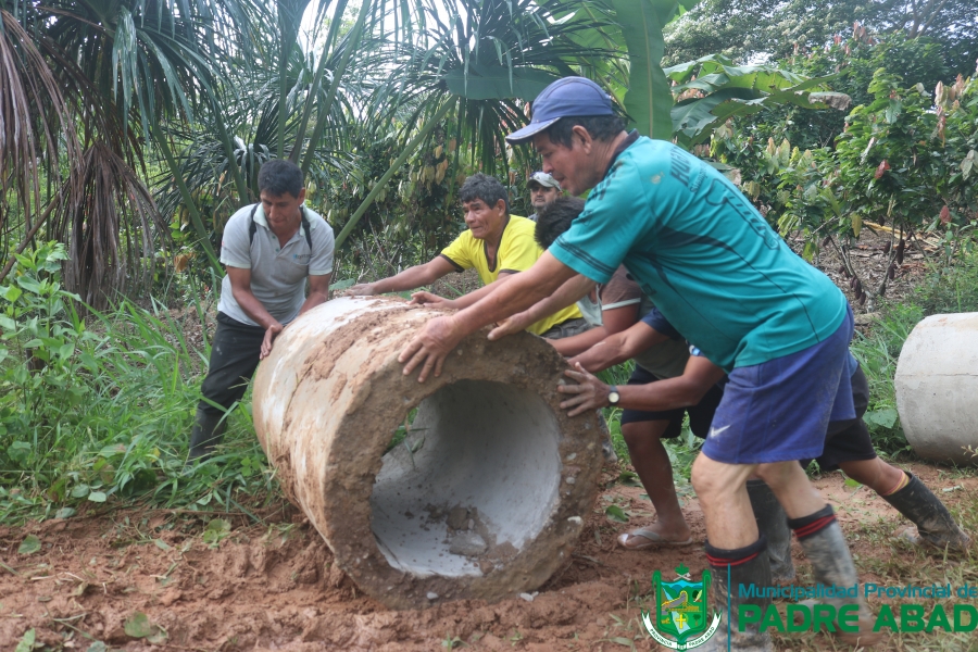 POOL DE MAQUINARIA TRABAJA EN EL MEJORAMIENTO DE LA CARRETERA Y ALCANTARILLA DEL SECTOR PALMERAS