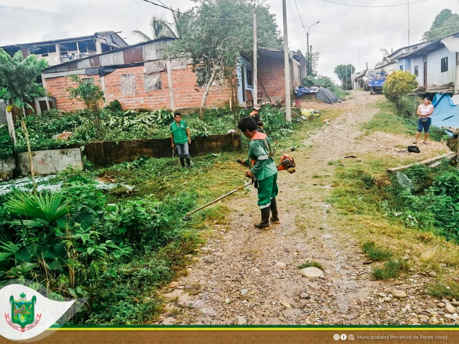 MUNICIPALIDAD REALIZA LIMPIEZA DE MALEZAS EN LA JJ. VV 24 DE JUNIO