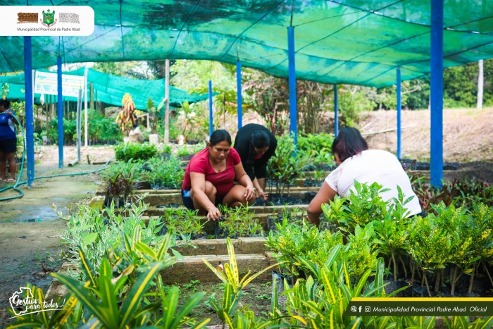 EL VIVERO MUNICIPAL PRODUCE MÁS DE 3 MIL PLANTONES ORNAMENTALES Y FRUTALES