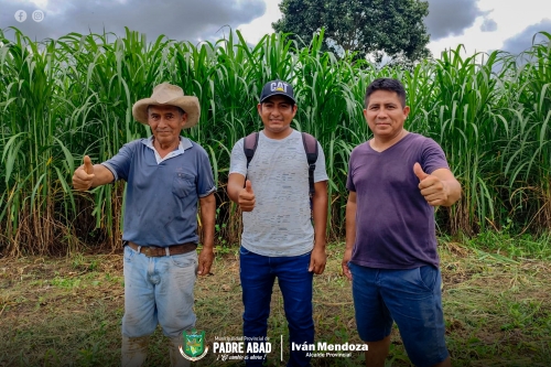 MPPA VERIFICA TRABAJOS QUE REALIZA EL TRACTO AGRICOLA EN BENEFICIO DE LOS GANADEROS